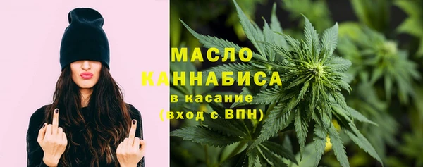 спайс Ельня