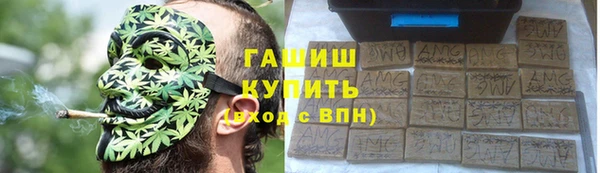 спайс Ельня