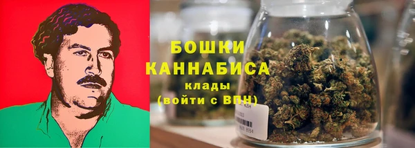 прущие грибы Елабуга