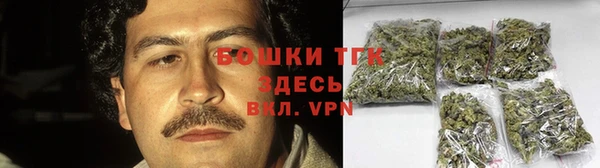 спайс Ельня