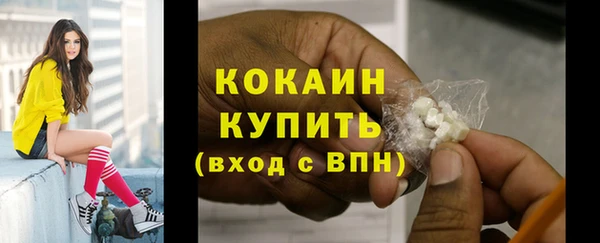 спайс Ельня