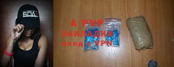 прущие грибы Елабуга