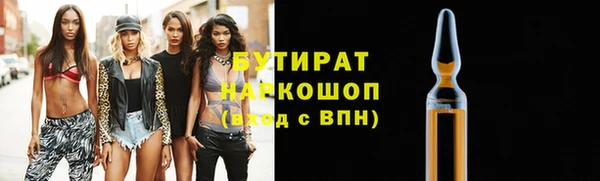 прущие грибы Елабуга