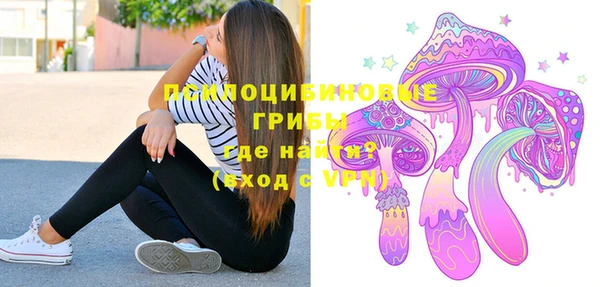спайс Ельня