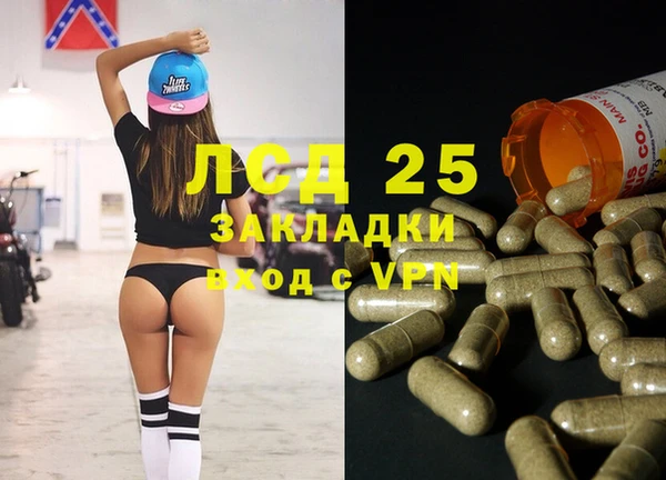 спайс Ельня