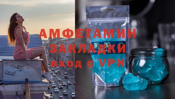 прущие грибы Елабуга