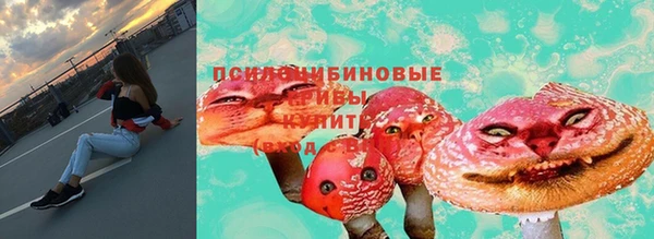 прущие грибы Елабуга