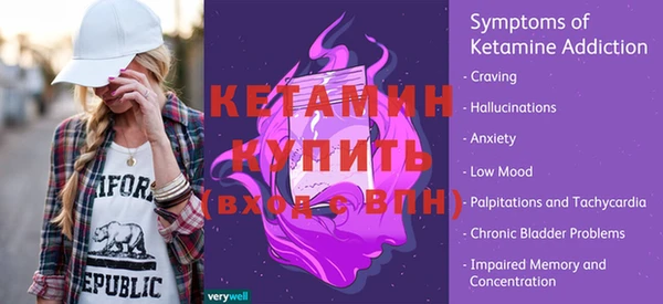 прущие грибы Елабуга