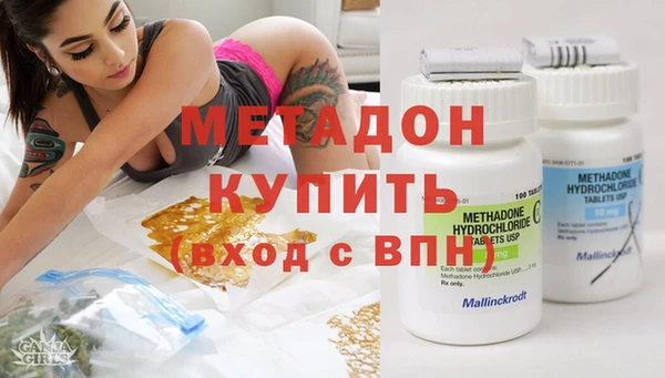 прущие грибы Елабуга