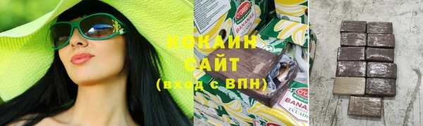 спайс Ельня