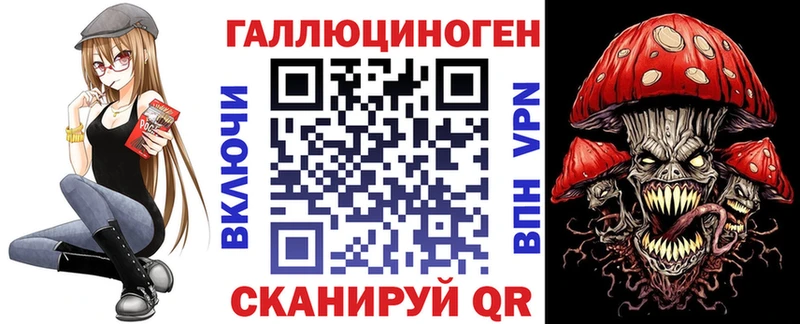 закладки  Тогучин  Псилоцибиновые грибы MAGIC MUSHROOMS 