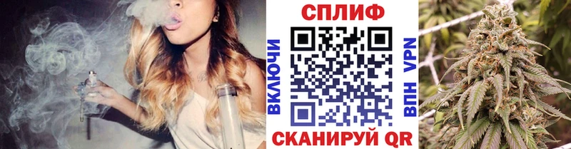 Конопля гибрид  наркошоп  Тогучин 